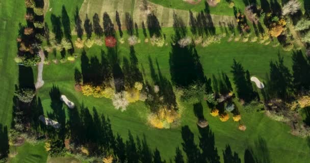 Antenne Golf Club Einstellschuss Drohne Fliegt Über Golfclub Hochwertiges Filmmaterial — Stockvideo