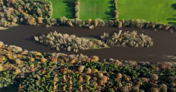 Antenne Auffüllen Herbst Wald Mit Blick Auf Den Fluss Von — Stockvideo