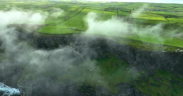 Aéreo Falésias Moher Precipício Íngreme Irlanda Destino Turístico Vista Aérea — Vídeo de Stock
