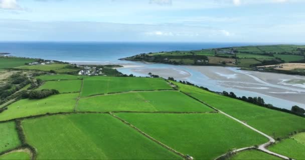 Αεροφωτογραφία Ιρλανδικό Τοπίο Παραλία Ιντσιντόνι Clonakilty County Cork Ιρλανδία Υψηλής — Αρχείο Βίντεο