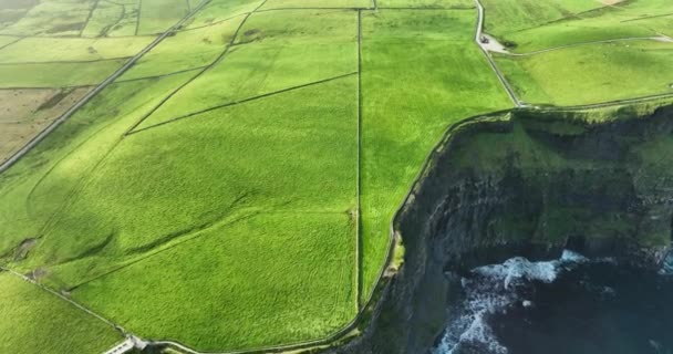 Aérea Acantilados Del Precipicio Empinado Moher Destino Turístico Irlanda Vista — Vídeo de stock