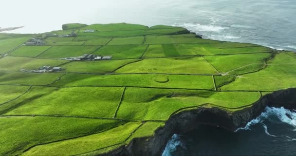 Aéreo Falésias Moher Precipício Íngreme Irlanda Destino Turístico Vista Aérea — Vídeo de Stock
