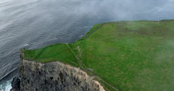 Luchtfoto Kliffen Van Moher Vlieg Branaunmore Zee Stapel Epische Locatie — Stockvideo