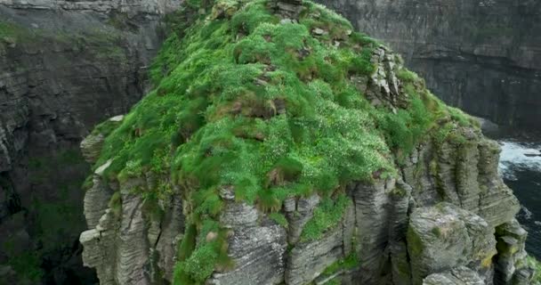 Υπέροχα Βράχια Του Moher Δει Από Ψηλά Πετώντας Χαμηλά Πάνω — Αρχείο Βίντεο