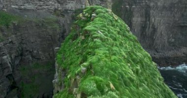Moher 'ın muhteşem uçurumları yukarıdan görüldü. Sabahleyin Moher Kayalıkları 'nın üzerinden alçaktan uçacağız. Dünyanın kıyısındaki kayalıklar. Country Clare, İrlanda. Yüksek kalite 4k görüntü