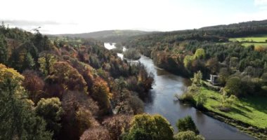 Dağ tepeleri ve çam ağaçları ve turuncu kayın ağaçlarıyla kaplı dağların havadan görünüşü. Ormanda güneşli bir gün. Sonbaharın renkli ağaçları. Yüksek kalite 4k görüntü