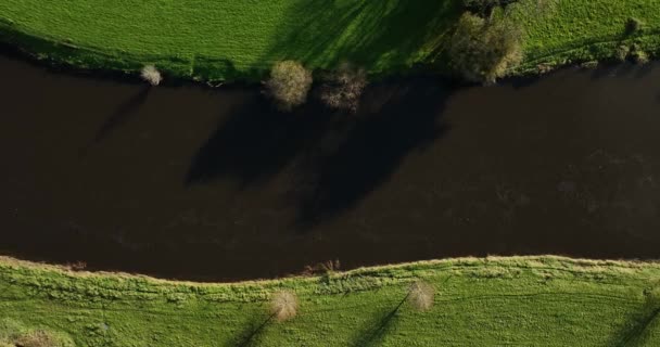 아름다운 은행과 디자인 강둑에 강둑은 잔디로 덮여있다 고품질 — 비디오