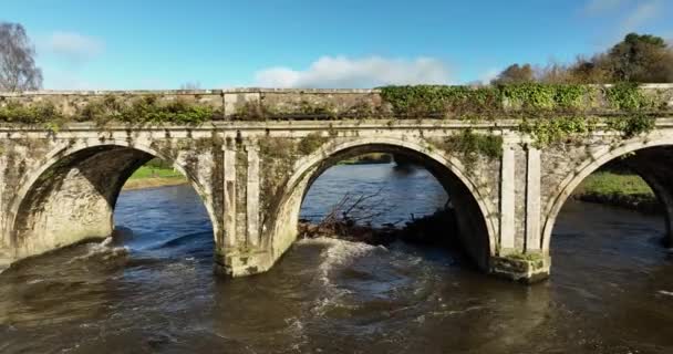 Luchtopname Van 18E Eeuwse Brug Nore Inistigoe County Kilkenny Ierland — Stockvideo