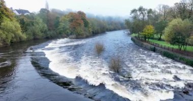 Havadan. Güçlü nehir akıntısı, nehirde şelale, öğleden sonra azgın nehir. Nehrin üzerinden uçuyor. Kilkenny, İrlanda. Yüksek kalite 4k görüntü