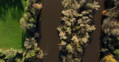 Havadan. Yukarıdan nehir manzaralı sonbahar ormanı. Sonbahar Ormanı. Fall Orange, Green, Yellow, Red Leaves Trees Woods. İrlanda. Yüksek kalite 4k görüntü