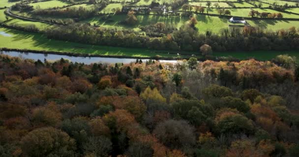 Εναέρια Εξοχή Της Ιρλανδίας Γραφικό Φθινοπωρινό Τοπίο Ποτάμι Και Πολύχρωμα — Αρχείο Βίντεο