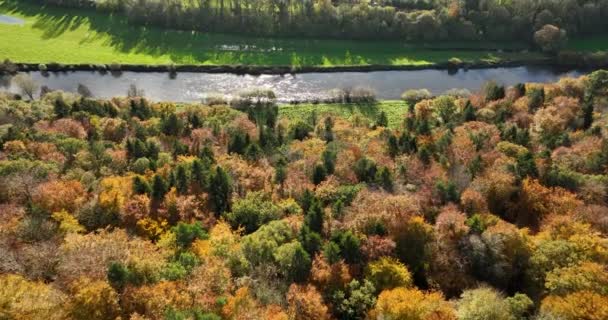 Paysage Automne Pittoresque Avec Une Rivière Une Forêt Automne Colorée — Video