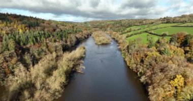 Nore Gölü 'nün yukarısındaki hava manzarası Sonbahar Ormanı ile çevrilidir. Sonbahar Ormanı. Fall Orange, Green, Yellow, Red Leaves Trees Woods. İrlanda. Yüksek kalite 4k görüntü