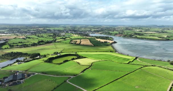 Εναέρια Ιρλανδικό Τοπίο Παραλία Ιντσιντόνι Clonakilty County Cork Ιρλανδία Υψηλής — Αρχείο Βίντεο