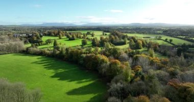 Havadan. Yeşil çimenleri ve uzun ağaçları olan güzel bir park. Kilkenny, İrlanda. İrlanda 'nın yeşil alanları. Resimli sonbahar manzarası, güneşli bir gün. Yeşil çimenler. Yüksek kalite 4k görüntü