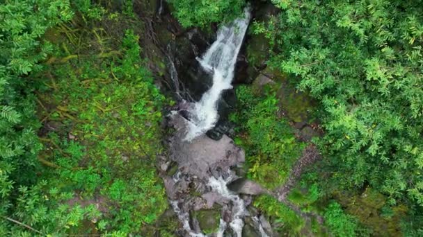 Съёмки Беспилотника Aerial Водопадом Баллисаггартмор Лисмор Ирландия Осенью Небольшой Водопад — стоковое видео