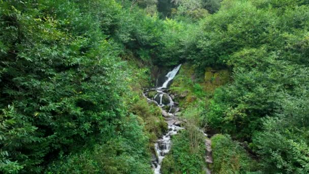 Съёмки Беспилотника Aerial Водопадом Баллисаггартмор Лисмор Ирландия Осенью Небольшой Водопад — стоковое видео