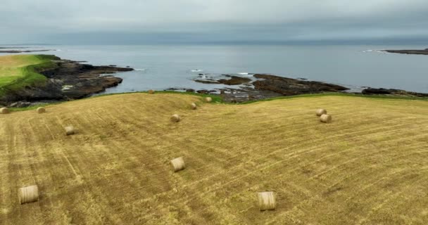 Een Drone Vliegt Een Landbouwveld Vol Hooibalen Tegen Zee Een — Stockvideo