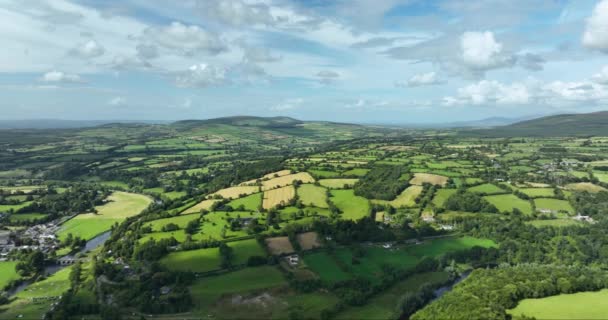 Antenne Ländliche Landschaft Ackerland Felder Mit Kühen Irland Ländliche Landschaft — Stockvideo