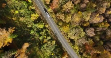 Dairesel. Sarı ve turuncu sonbahar ormanlarında yoğun trafik olan kırsal yol manzaralı bir araba ve orman yolu boyunca giden bir kamyon. Sonbahar orman yolunda giden arabalar. Manzaralı sonbahar manzarası