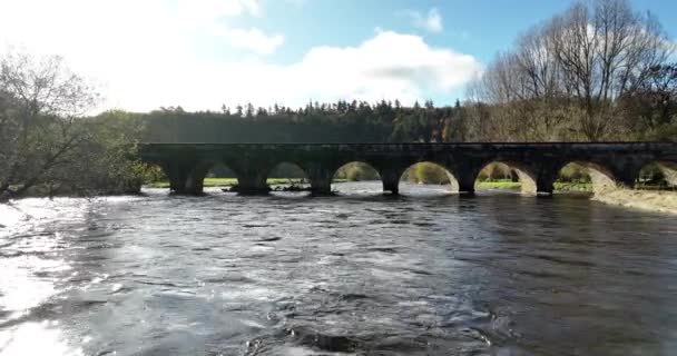 Pont Historique Pierre Surplombant Une Rivière Nore Milieu Des Forêts — Video
