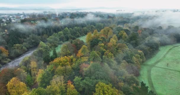 Frühmorgendlicher Nebel Über Dem Central Park Und Hohe Grüne Und — Stockvideo