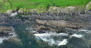 Havadan. Atlantik Okyanusu 'nun taştan kıyısında uçuyor. Okyanus kenarındaki yeşil alanlar. Vahşi Atlantik Yolu. Atlantik Okyanusu. Country Clare, İrlanda. Moher Yürüyüş Yolunun Kayalıkları. Yüksek kalite 4k görüntü