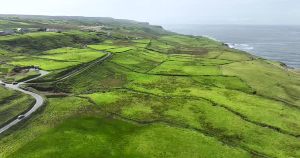 Vista Aves Costa Oeste Irlanda Famosa Atracción Turística Largo Ruta — Vídeo de stock