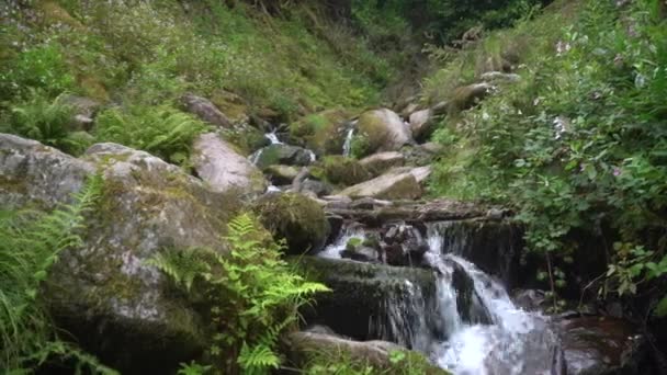 Водопад Баллисаггартмор Лисмор Вотерфорд Ирландия Осенью Небольшой Водопад Возле Башен — стоковое видео