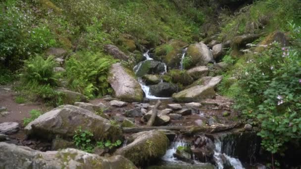 Водопад Баллисаггартмор Лисмор Вотерфорд Ирландия Осенью Небольшой Водопад Возле Башен — стоковое видео