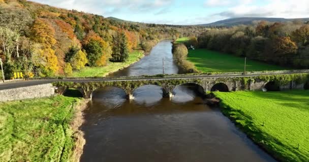 Letecký Starobylý Most Pozadí Řeky Noru Podzimního Lesa Most Přes — Stock video