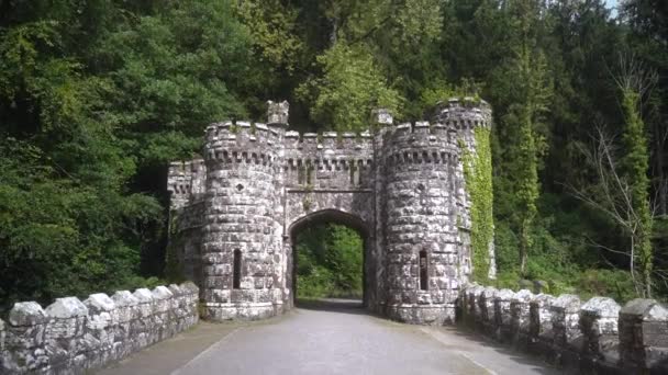 Ballysaggartmore Towers Ponte Medievale Lismore Nella Foresta Della Contea Waterfords — Video Stock