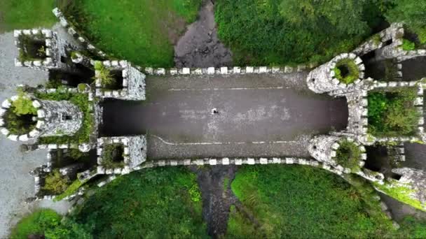 在利索尔县的森林里 空中无人飞机俯瞰着孤零零地穿过中世纪的桥 一座神秘的中世纪建筑 沃特福德爱尔兰 4K镜头 — 图库视频影像