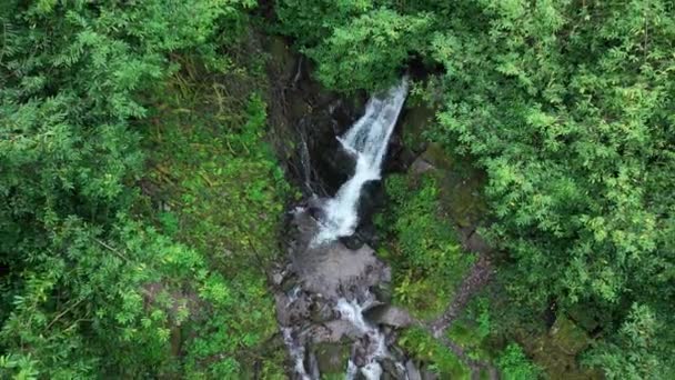 リスコ ウォーターフォード アイルランドの秋のバリスガルトモア滝の4Kドローン映像 カメラは滝から離れていく バリスガルトモアタワー近くの小さな滝 4K映像について — ストック動画
