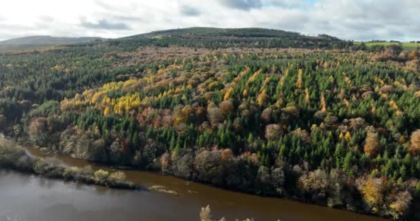 森の空からの眺めの秋 混合された森林 緑のコニファー 黄色い葉を持つ残留木 フォールカラー ウッドランド ノール川 ウッドストック アイルランド 高品質の4K映像 — ストック動画
