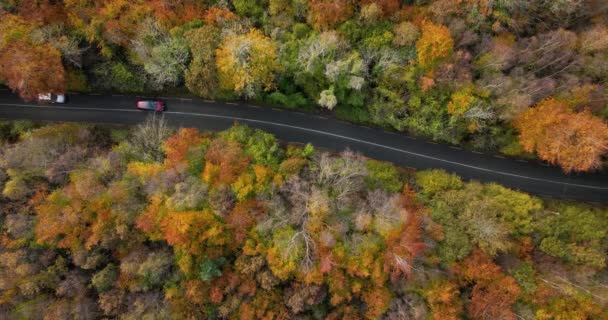 Вид Сверху Красно Белые Машины Проселочной Дороге Солнечном Красочном Осеннем — стоковое видео