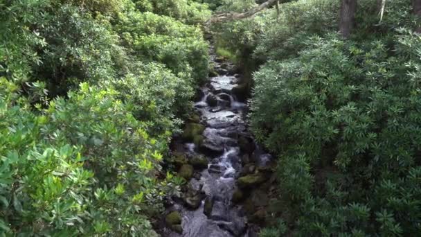 Rio Que Flui Através Das Rochas Como Uma Pequena Cachoeira — Vídeo de Stock