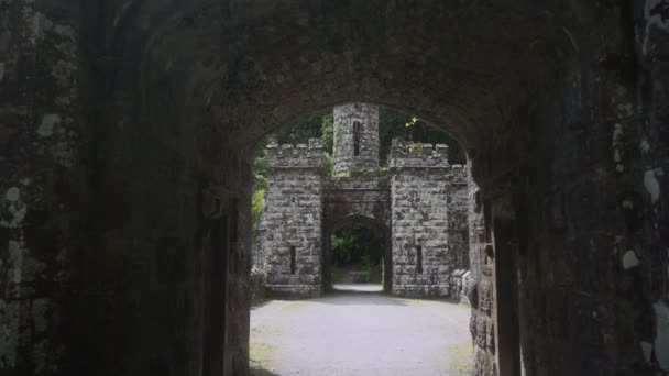 Ballysaggartmore塔 利斯莫尔一座中世纪的桥 位于沃特福德郡的森林里 一个神秘的地方 中世纪的建筑 通往城堡的大门旅游目的地 高质量的4K镜头 — 图库视频影像