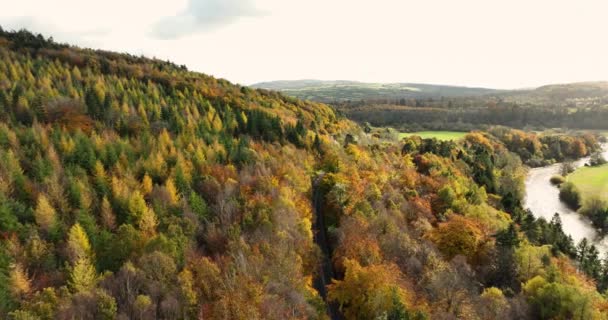 Польоти Безпілотників Через Гори Середині Осені Осінні Дерева Красивий Ліс — стокове відео