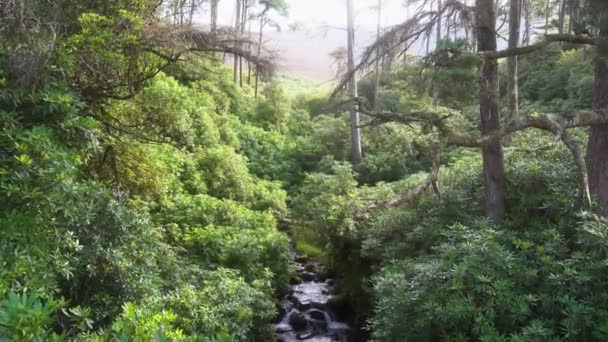 小さな滝のような岩を流れる川 歴史的なハイキングコース 高品質の4K映像 — ストック動画