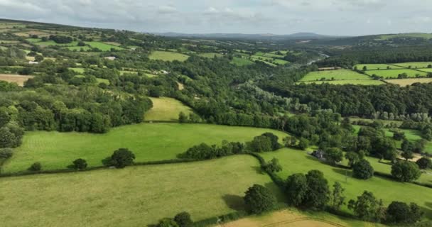 鸟瞰爱尔兰无尽的繁茂草原和农田 美丽的爱尔兰乡村 绿油油的田野和草地 中午时分的乡村风景 4K镜头 — 图库视频影像