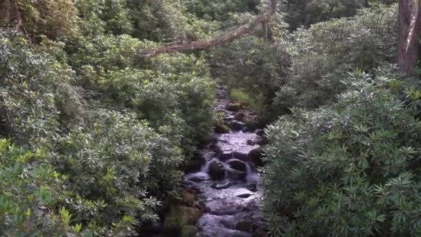 Rzeka Przepływająca Przez Skały Jak Mały Wodospad Historycznym Szlaku Turystycznym — Wideo stockowe