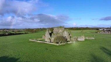 Hore Abbey manzarası. Hore Abbey Mezarlığı Mezarlığı Harabeleri. Hore Abbey Ireland 'ın son ortaçağ manastırı 1272' de Cashel 'in batısındaki County Tipperary' de kuruldu. Yüksek kalite 4k görüntü