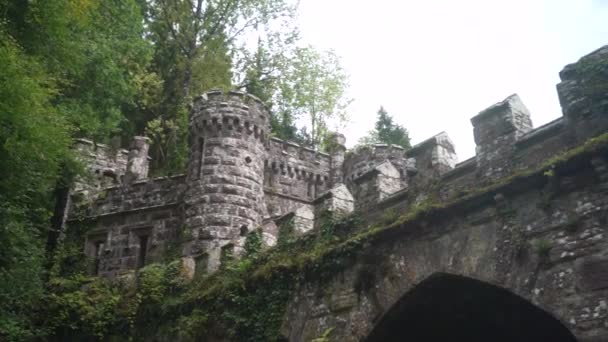 Ballysaggartmore塔 幻想中的森林位置 相机飞过利斯莫尔中世纪的桥 沃特福德郡的森林 一个神秘的地方 中世纪的建筑 高质量的4K镜头 — 图库视频影像