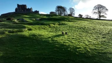 Cashel Kayası üzerindeki hava manzarası ayrıca Kralların Cashel 'i olarak da bilinir. Cashel, County Tipperary, İrlanda 'da muhteşem bir tarihi mekan. Yüksek kalite 4k görüntü