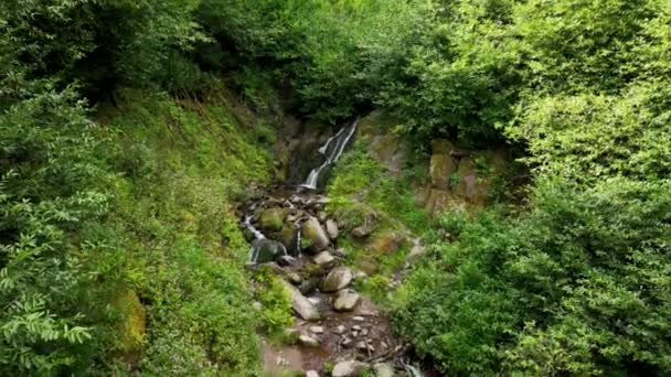Górska Rzeka Środku Malowniczej Zieleni Wodospad Ballysaggartmore Lismore Waterford Ireland — Wideo stockowe