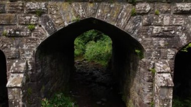 Ireland 'ın Ballysaggartmore Kuleleri' nin hava aracı görüntüsü ormana açılan mistik bir geçit. County Waterford Ormanı. Mistik bir yerel turizm merkezi. Waterford, İrlanda. Yüksek kalite 4k görüntü