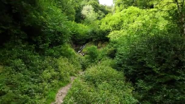 在风景如画的绿地中间的一条山河 秋天在爱尔兰利斯莫尔公司的瀑布瀑布镇 Ballysaggartmore Towers附近的小瀑布高质量的4K镜头 — 图库视频影像
