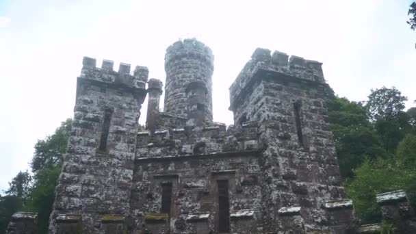 Ballysaggartmore Torens Middeleeuwse Torens Een Middeleeuwse Brug Lismore County Waterfords — Stockvideo