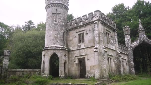 Ballysaggartmore Towers Antico Cancello Sullo Sfondo Una Foresta Verde Irlanda — Video Stock